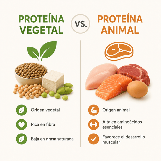 Proteína Vegetal vs. Animal - Motivo Club
