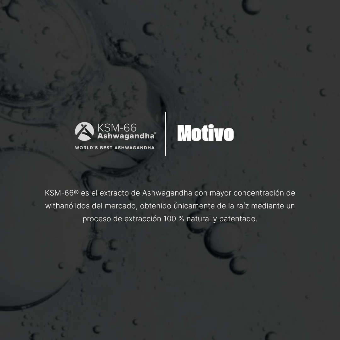 Ashwagandha KSM - 66® | Extracto Raíz Completa Certificado Clínicamente - motivoclub Suplementos Deportivos de motivoclub | Motivo Club