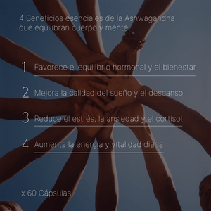 Ashwagandha KSM-66® | Extracto Raíz Completa Certificado Clínicamente