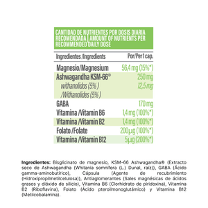 Pack Calm & Focus | Magnesio + Ashwagandha