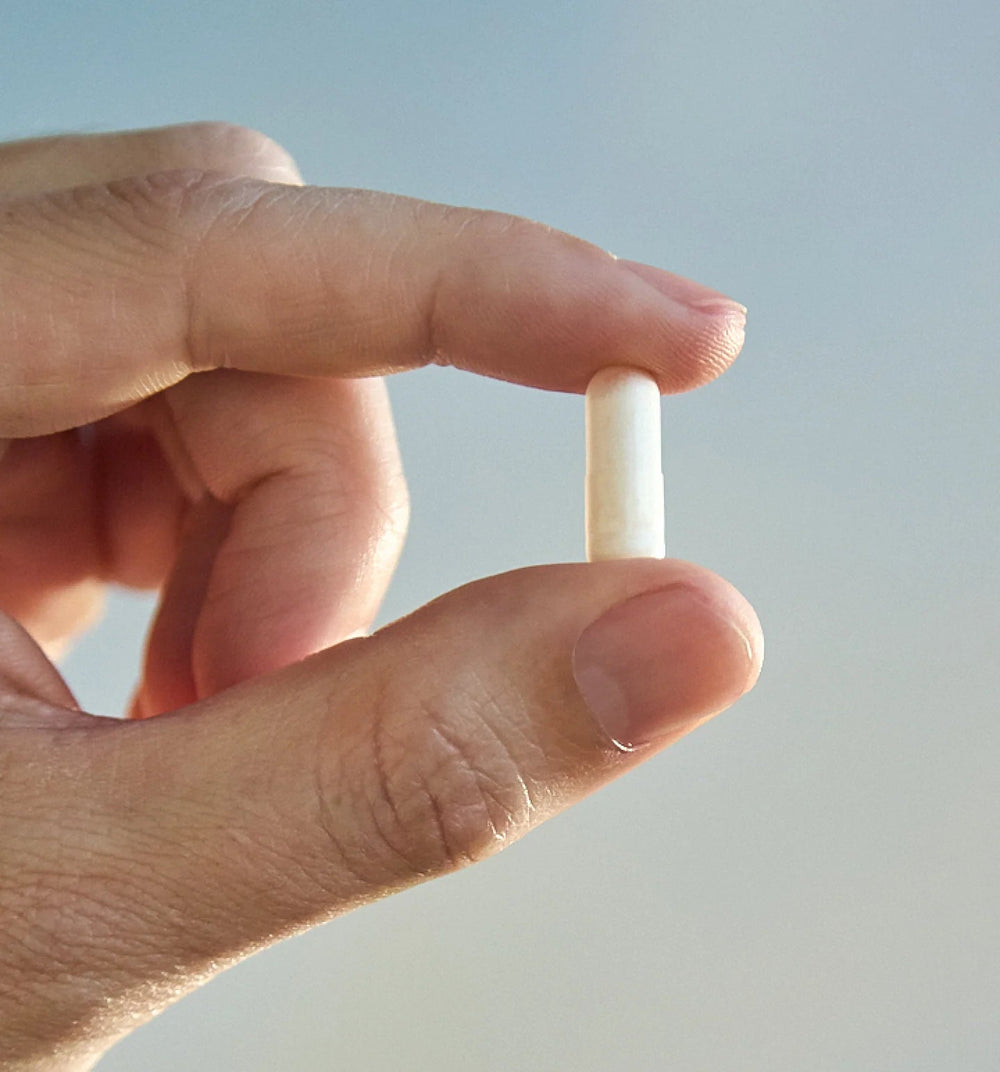 Pack Calm & Focus | Magnesio + Ashwagandha